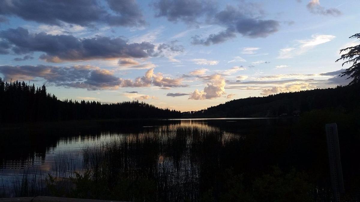 Lac Le Jeune Nature Resort Logan Lake Eksteriør billede