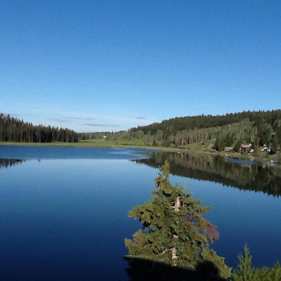 Lac Le Jeune Nature Resort Logan Lake Eksteriør billede