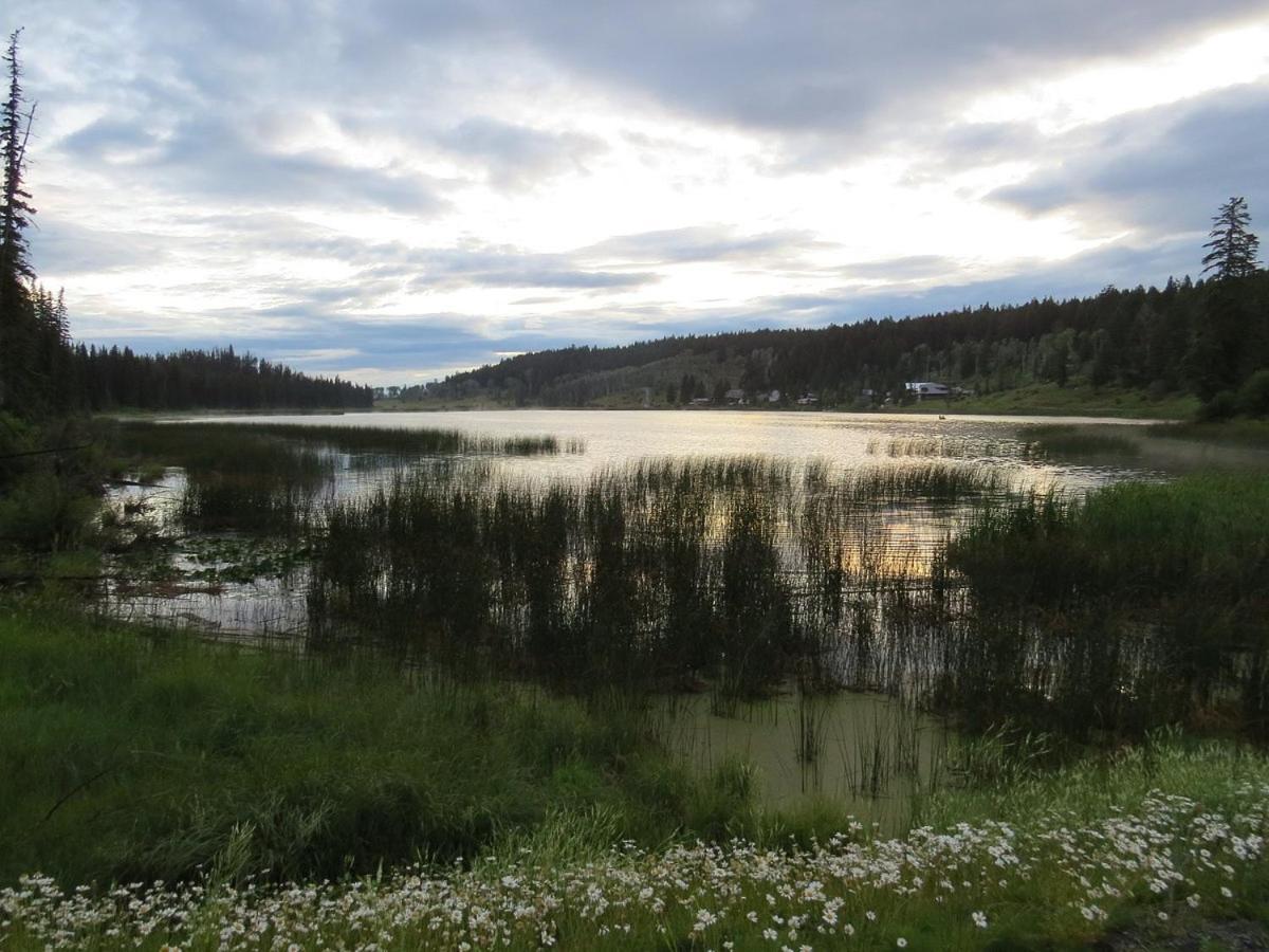 Lac Le Jeune Nature Resort Logan Lake Eksteriør billede