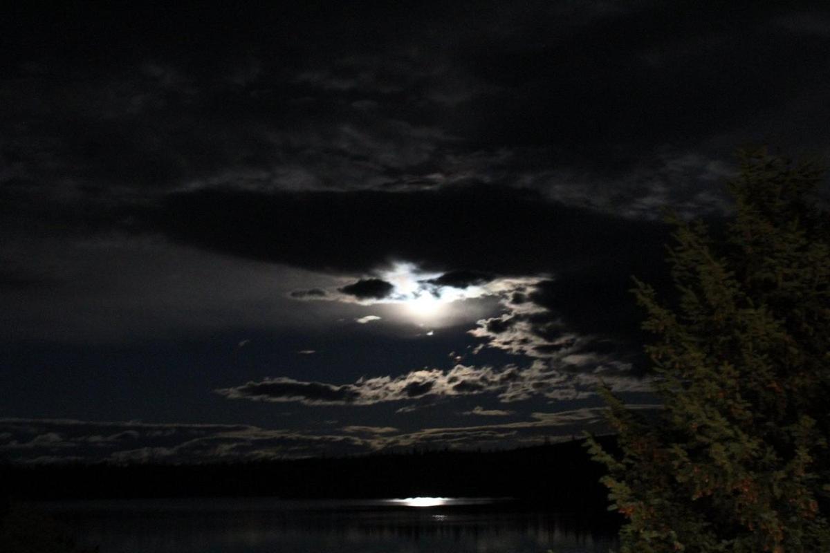 Lac Le Jeune Nature Resort Logan Lake Eksteriør billede